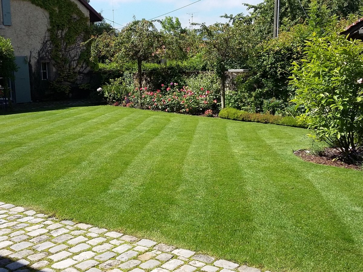 Entretien du jardin