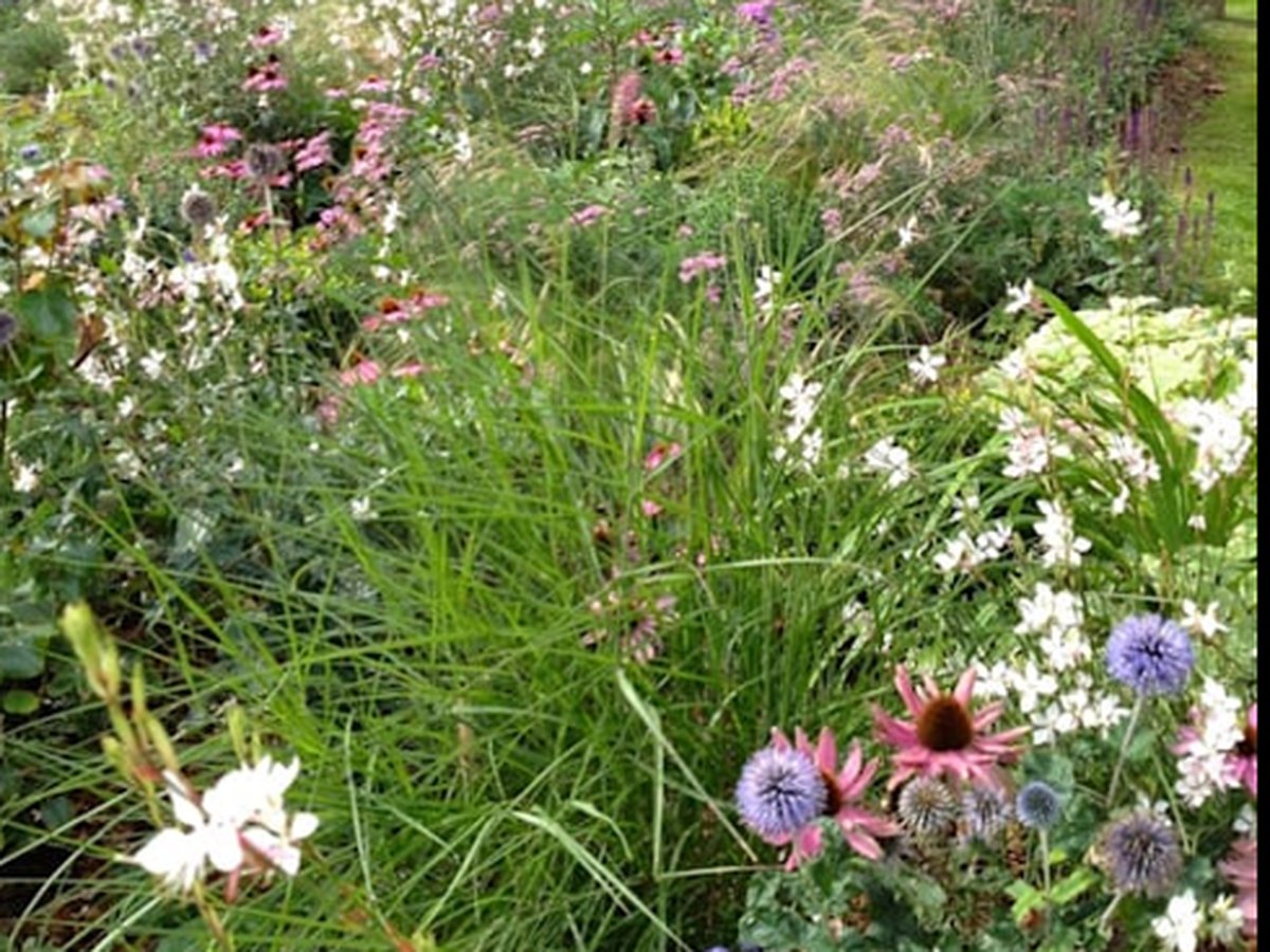 Massifs fleuris